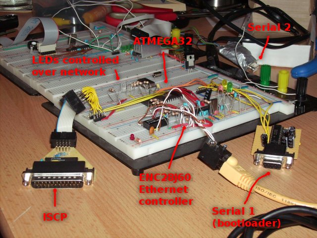 ENC28J60 mit ATMEGA32